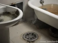 Multiple Drains Clogging at Once: Main Line Troubles