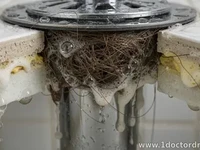 Shower Drain Clogs Explained: Hair, Soap Scum, Biofilm
