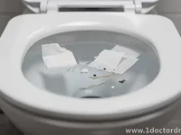 What NOT to Flush: A Realistic List Beyond Toilet Paper