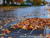 Fall Leaves and Storm Drains: Preventing Yard Floodin