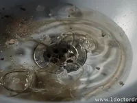 Why Drains Clog: Common Causes and What to Check