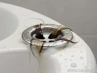 Common Causes of Bathtub Drain Clogs