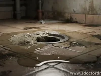 Floor Drain Backing Up: Common Causes and What to Do