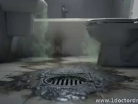 Why Your Guest Bathroom Smells Like Sewer (Fixes)