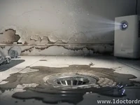 Mold After a Drain Backup: How Fast It Spreads