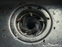 When Your Drains Demand Attention: Signs, Causes, and Fixes