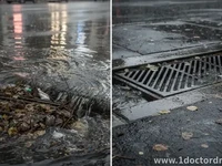 Storm Drain Backups: Causes and Prevention Tips
