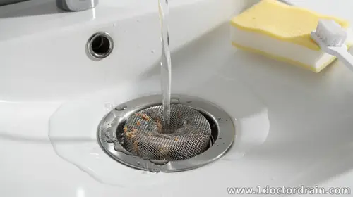 How to Maintain Your Drains Between Professional Cleanings